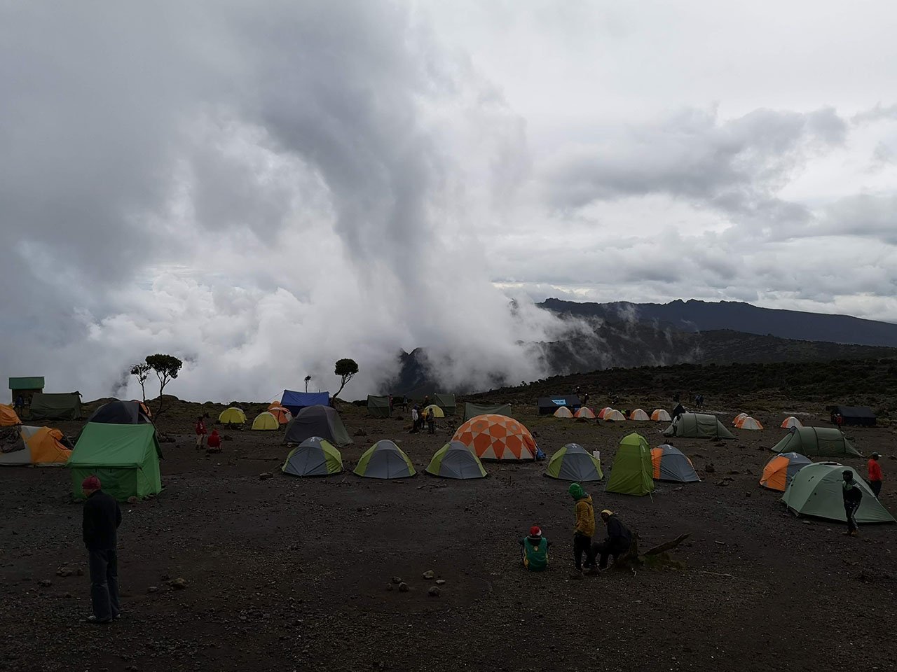 Insurance needed to cover your Kilimanjaro climb. Miwaleni Travel