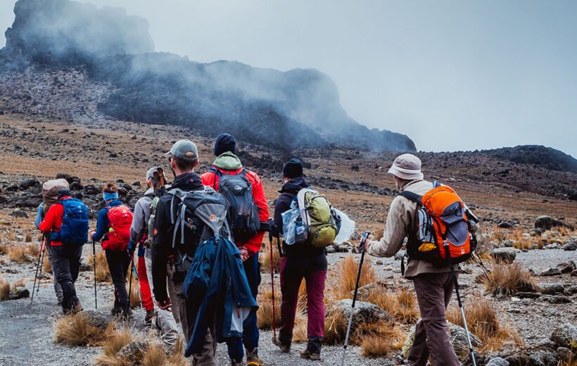 Kilimanjaro Lemosho Route 8 Days