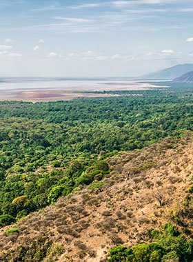 Ngorongoro