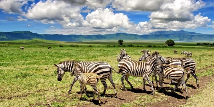 ngorongoro crater