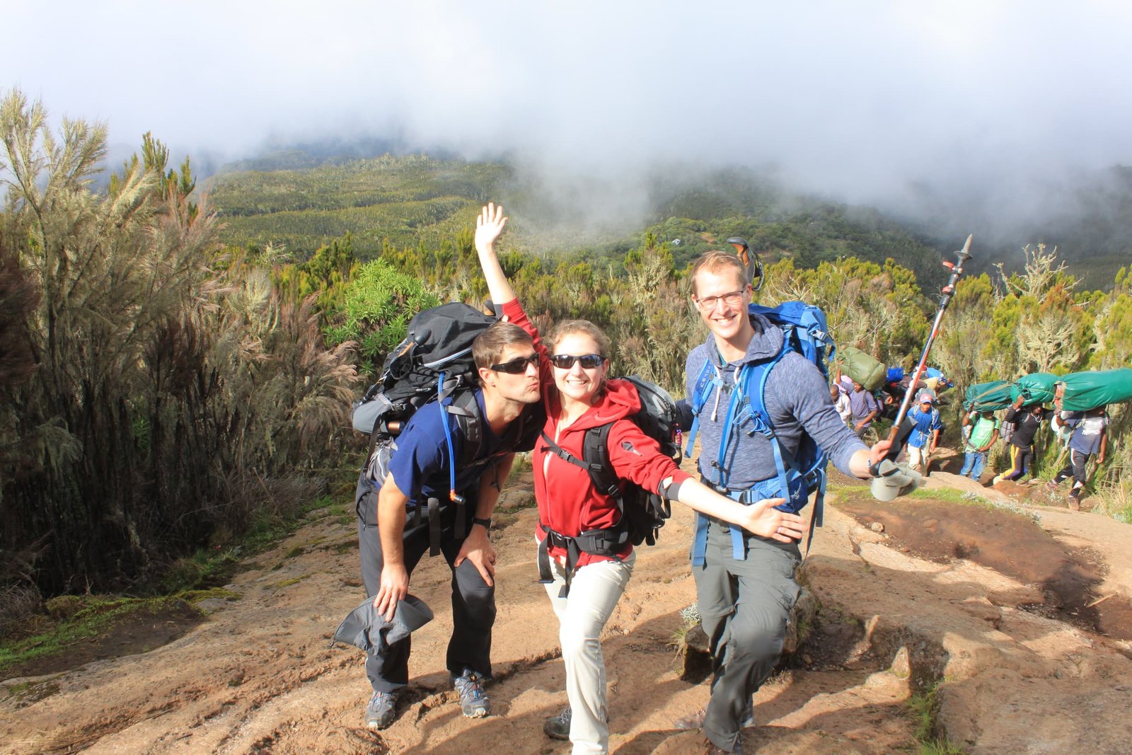 Kilimanjaro summit view 2026 guide