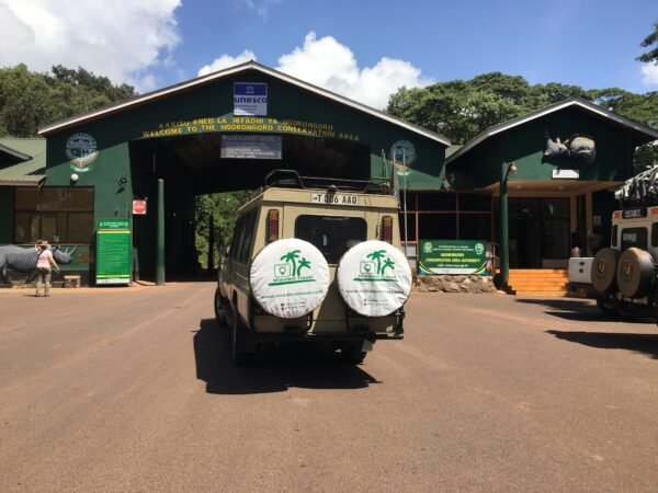 Ngorongoro Crater Day Trip