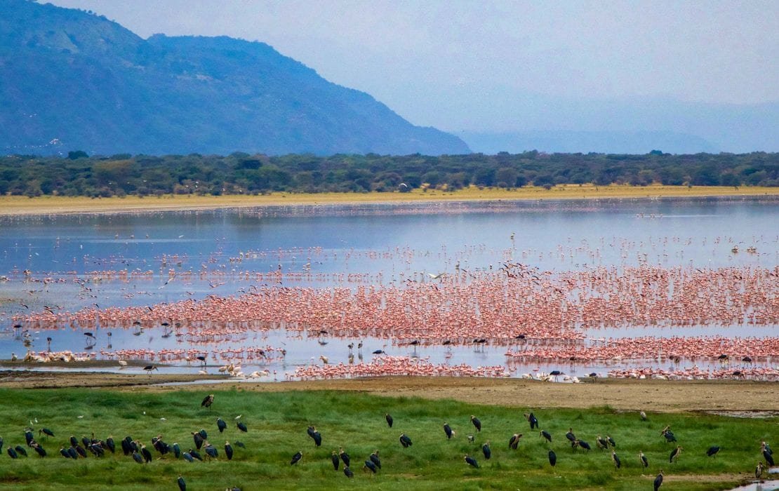 lake-manyara-1-1110×700