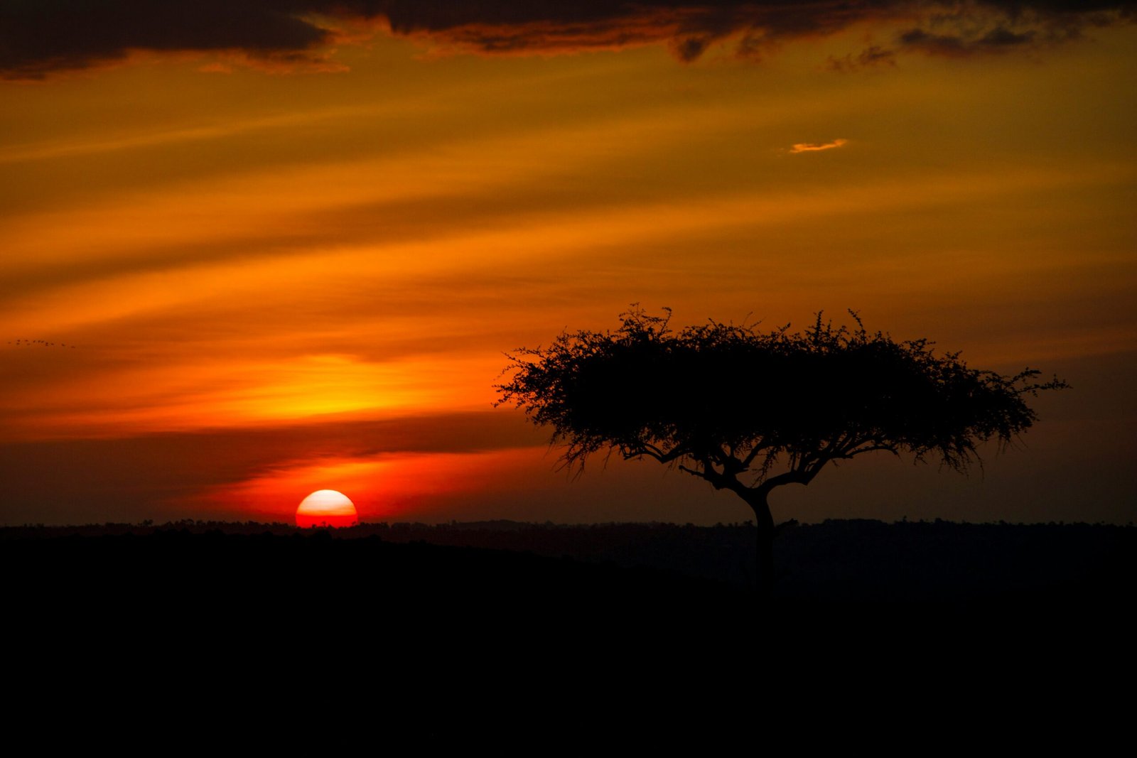selin-karahan-ITKlgwO0-9o-unsplash