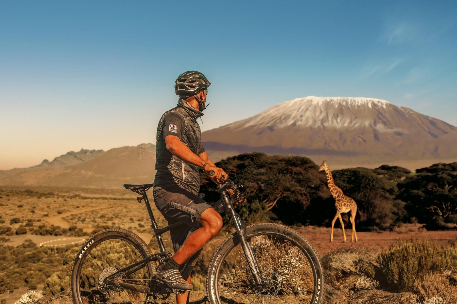 One-Bike-Hero