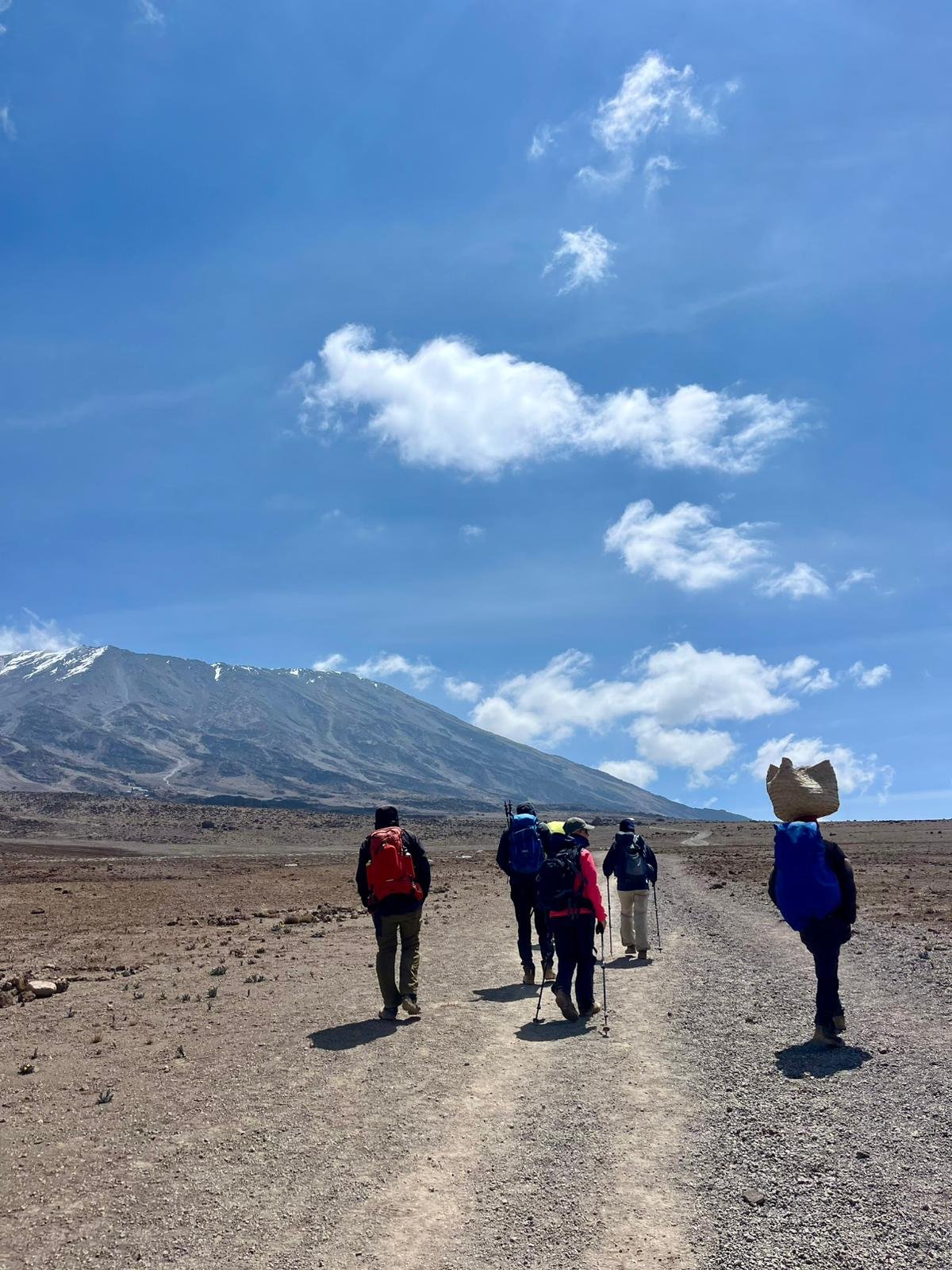 Marangu Route forest path
