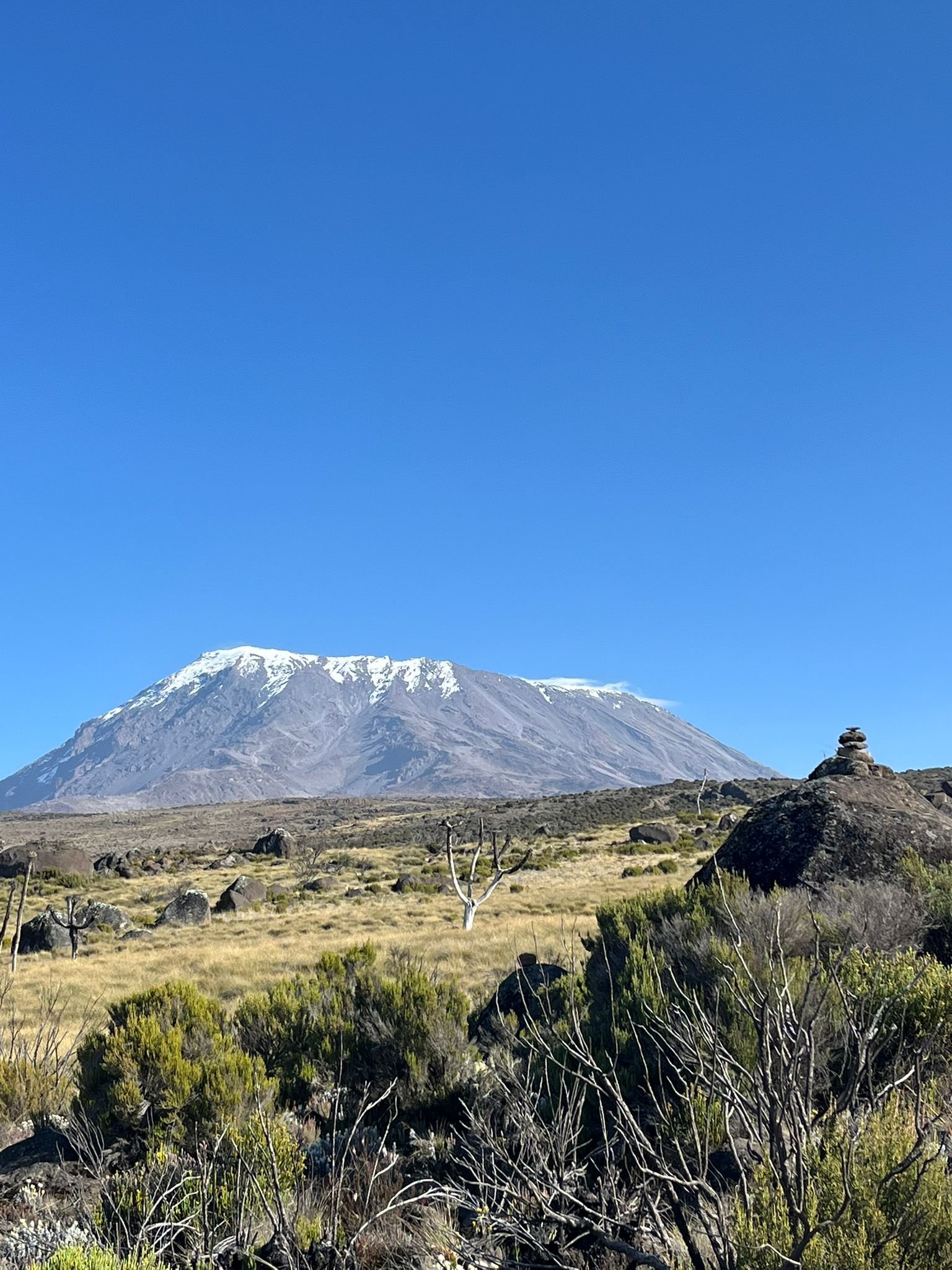 Marangu Route hikers